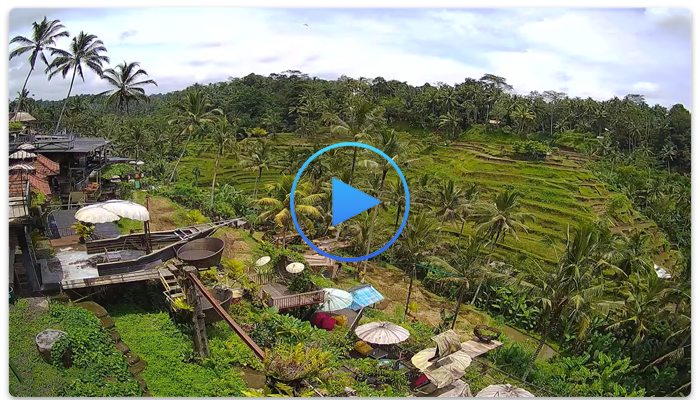 Веб-камера Бали. Рисовые поля Тегаллаланг (Tegallalang)